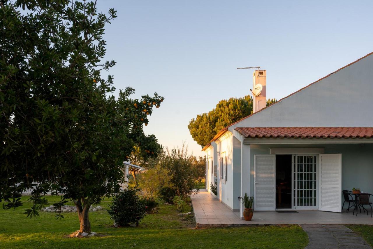 Na Quinta- alojamento rural com piscina de água salgada Villa Poceirao Esterno foto