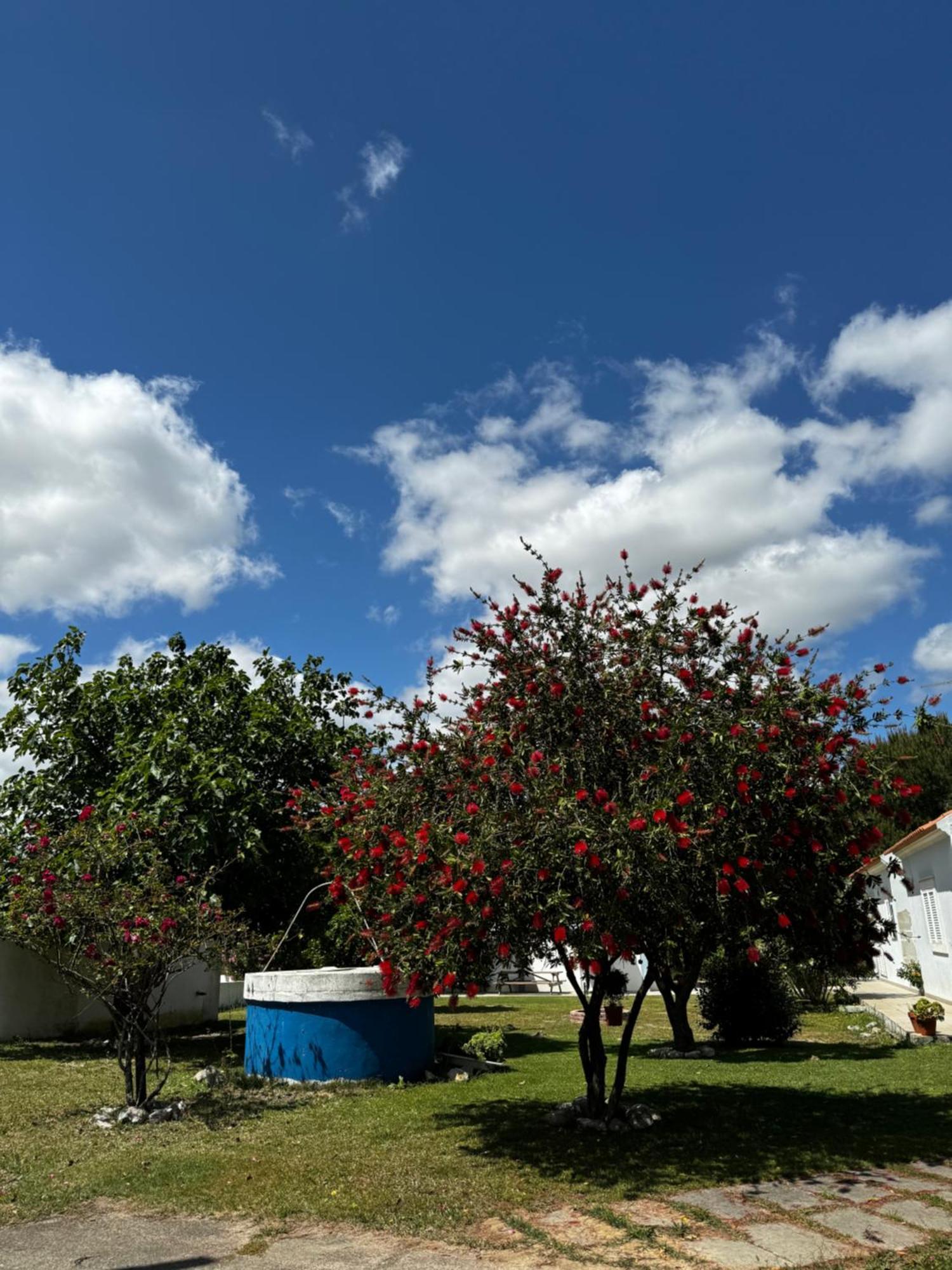 Na Quinta- alojamento rural com piscina de água salgada Villa Poceirao Esterno foto