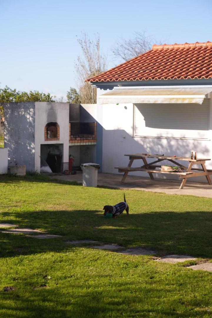 Na Quinta- alojamento rural com piscina de água salgada Villa Poceirao Esterno foto